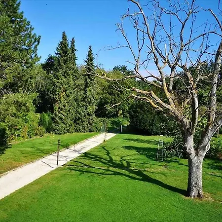 Ferienwohnung Rheinblick, Ruhig, Aussicht, Gartennutzung, Sport-Pool Koblenz  Eksteriør billede