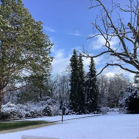 Ferienwohnung Rheinblick, Ruhig, Aussicht, Gartennutzung, Sport-Pool Koblenz  Eksteriør billede