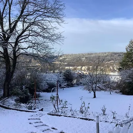 Ferienwohnung Rheinblick, Ruhig, Aussicht, Gartennutzung, Sport-Pool Koblenz  Eksteriør billede