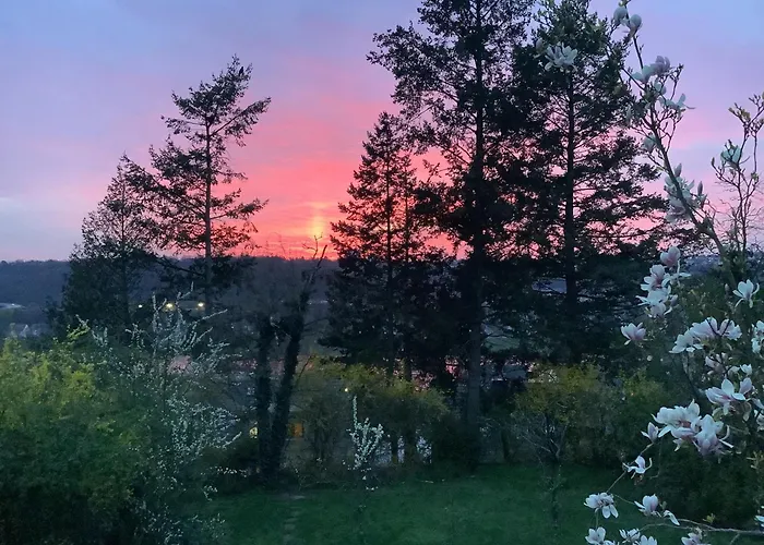 Ferienwohnung Rheinblick, Ruhig, Aussicht, Gartennutzung, Sport-Pool