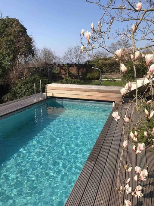 Rheinblick, Ruhig, Aussicht, Gartennutzung, Sport-pool Apartment *