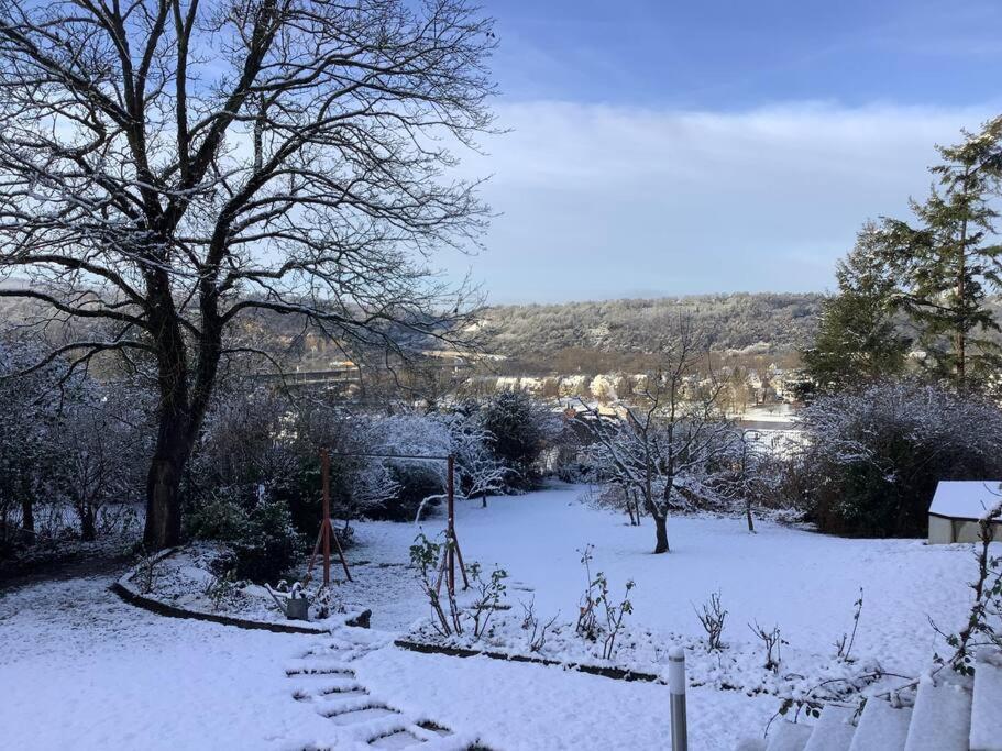 Rheinblick, Ruhig, Aussicht, Gartennutzung, Sport-pool Koblenz (Rhineland-Palatinate)