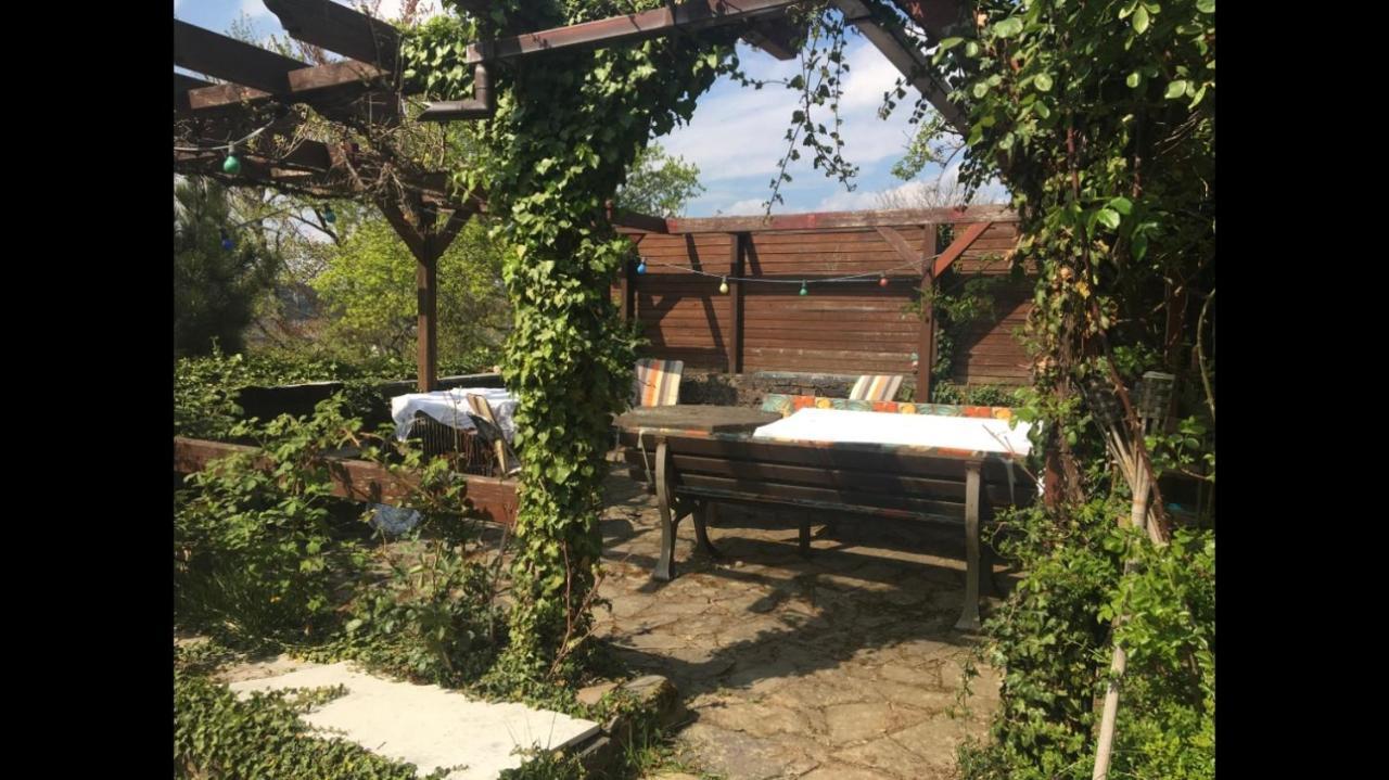Apartment Rheinblick, Ruhig, Aussicht, Gartennutzung, Sport-pool *