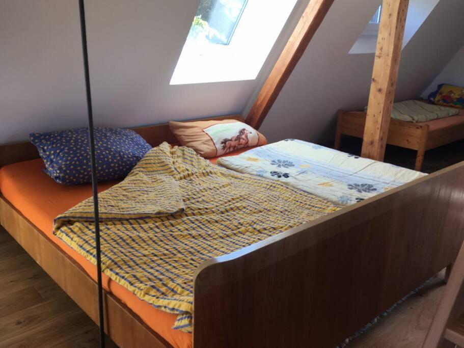 Rheinblick, Ruhig, Aussicht, Gartennutzung, Sport-pool Apartment *